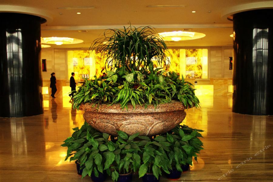 Hemei Huitong International Hotel 5*